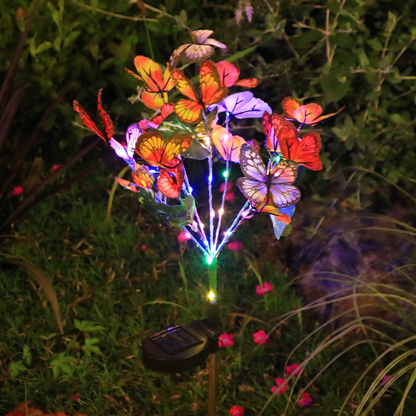 🔥2026 New Arrivals: 50% Off for a Limited Time!🔥🦋Hot Sale Offers-Solar Outdoor Butterfly Lights💐